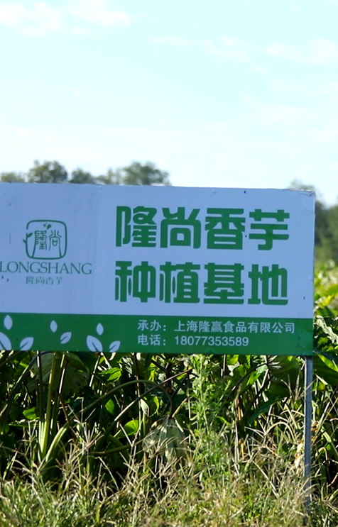 合作種植解決方案